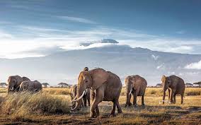 Africa's Most Fascinating Natural Wonders