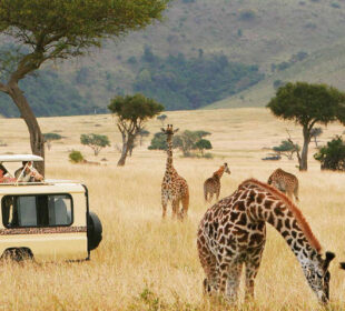 Hidden Gems Every Traveler Should Visit in East Africa