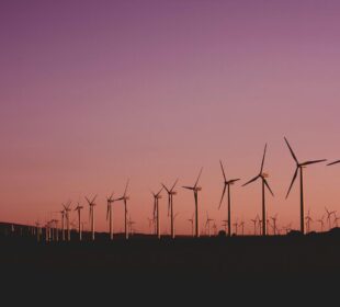 Emerging Business Opportunities in Renewable Energy