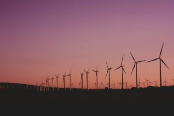 Emerging Business Opportunities in Renewable Energy