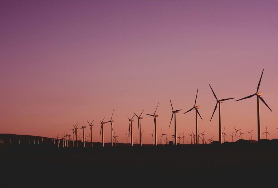 Emerging Business Opportunities in Renewable Energy