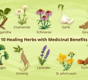 Indigenous Foods With Medicinal Benefits