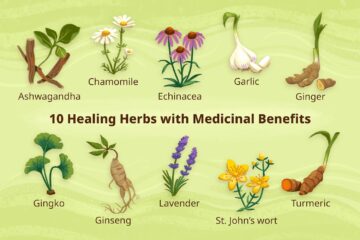 Indigenous Foods With Medicinal Benefits