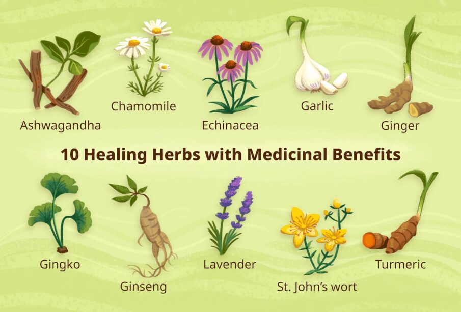Indigenous Foods With Medicinal Benefits