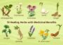 Indigenous Foods With Medicinal Benefits