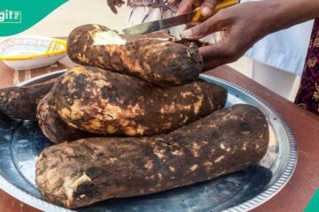 The Story Behind Popular Festival Foods