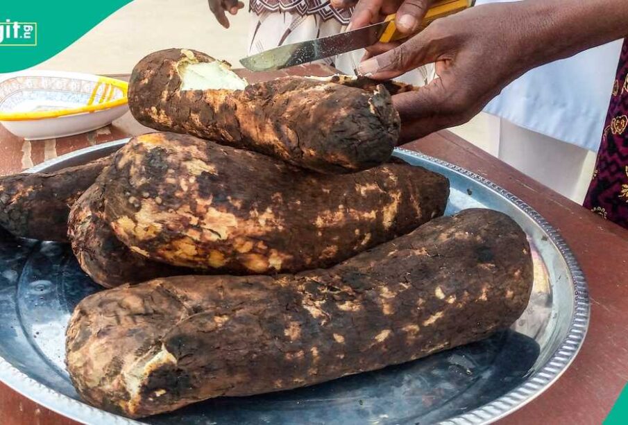 The Story Behind Popular Festival Foods