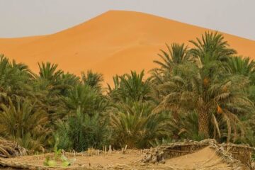 Exploring Africa's Desert Landscapes
