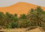 Exploring Africa's Desert Landscapes