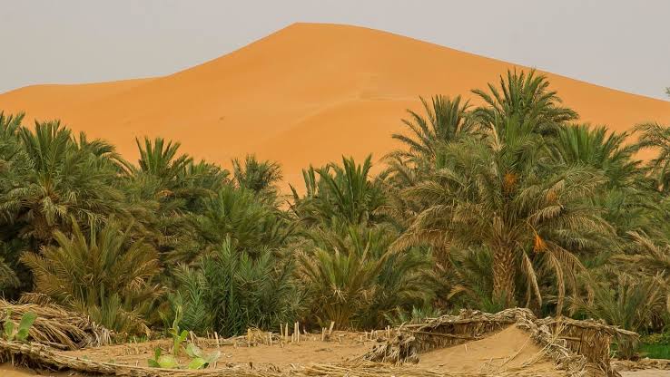 Exploring Africa's Desert Landscapes