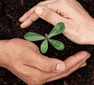 The Psychology of Personal Growth