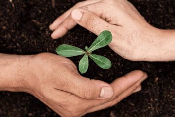 The Psychology of Personal Growth