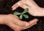 The Psychology of Personal Growth