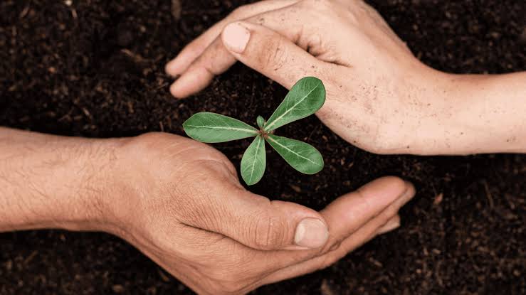 The Psychology of Personal Growth