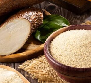 African Food Export Opportunities