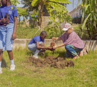 Community Development Success Stories