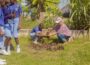 Community Development Success Stories