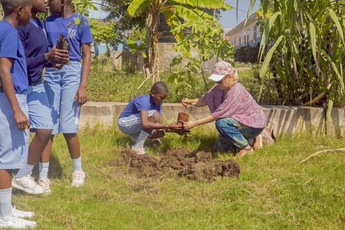 Community Development Success Stories
