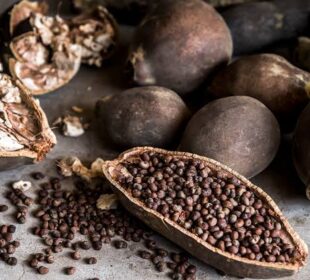 Sustainable Food Practices Across Africa