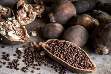 Sustainable Food Practices Across Africa