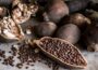 Sustainable Food Practices Across Africa