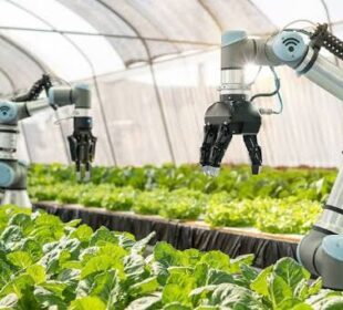 The Future of Smart Agriculture