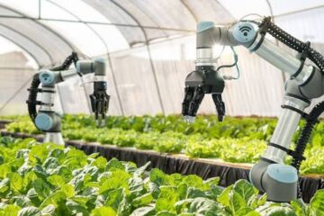 The Future of Smart Agriculture