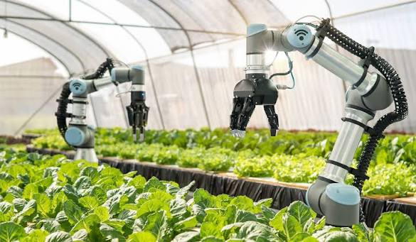 The Future of Smart Agriculture