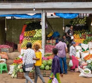 Local Food Markets and Their Economic Importance