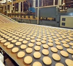 The Business Opportunities in Food Processing