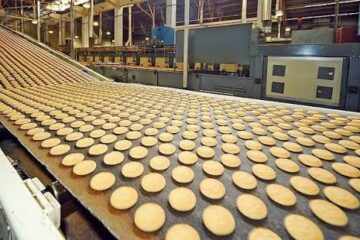 The Business Opportunities in Food Processing