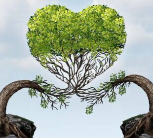 Building Healthy Romantic Relationships