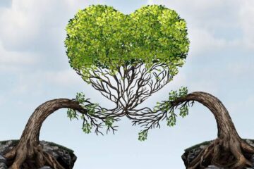 Building Healthy Romantic Relationships