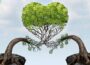 Building Healthy Romantic Relationships