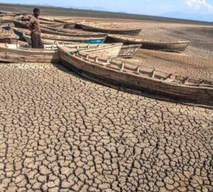 Africa's Role in Global Climate Action