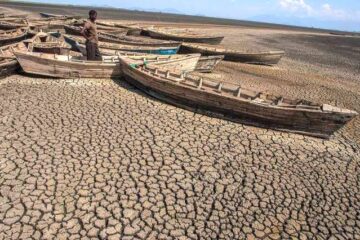 Africa's Role in Global Climate Action