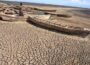 Africa's Role in Global Climate Action