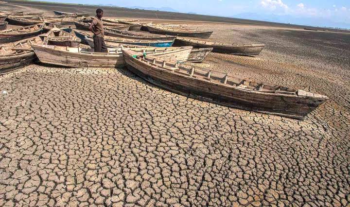 Africa's Role in Global Climate Action
