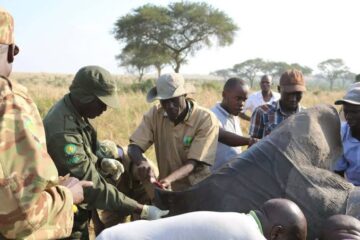 How Local Communities Protect Wildlife