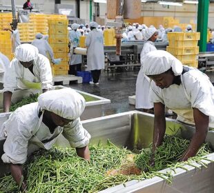 Local Food Processing Businesses Creating Jobs