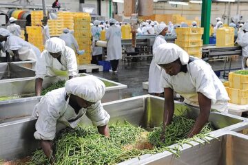 Local Food Processing Businesses Creating Jobs