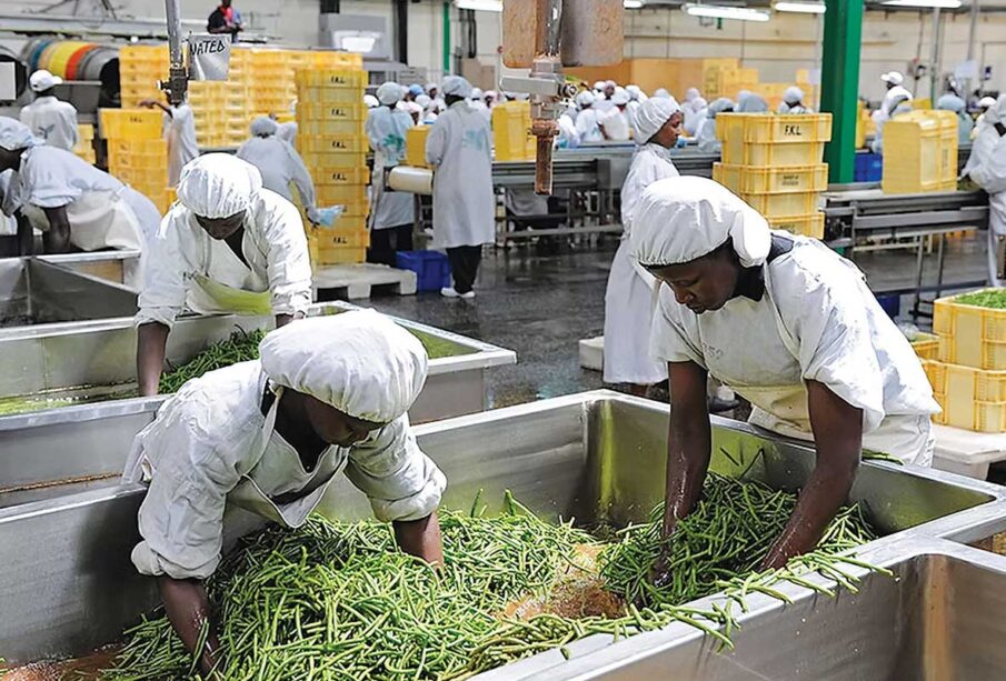 Local Food Processing Businesses Creating Jobs
