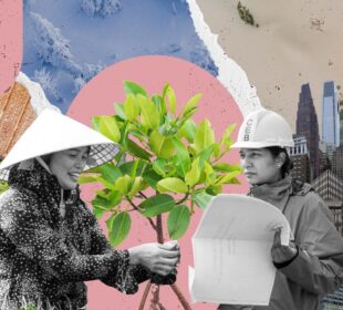 How African Nations Are Addressing Climate Change