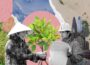 How African Nations Are Addressing Climate Change