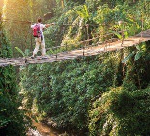 Reviewing Africa's Best Eco-Tourism Experiences