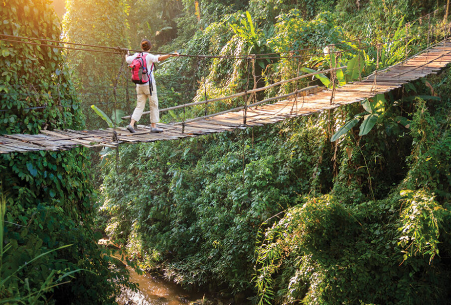 Reviewing Africa's Best Eco-Tourism Experiences