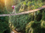 Reviewing Africa's Best Eco-Tourism Experiences