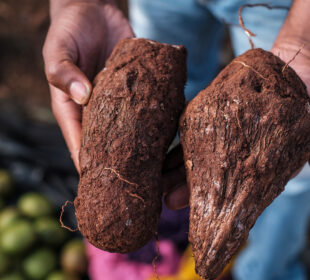 Traditional African Foods That Are Disappearing