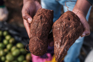 Traditional African Foods That Are Disappearing