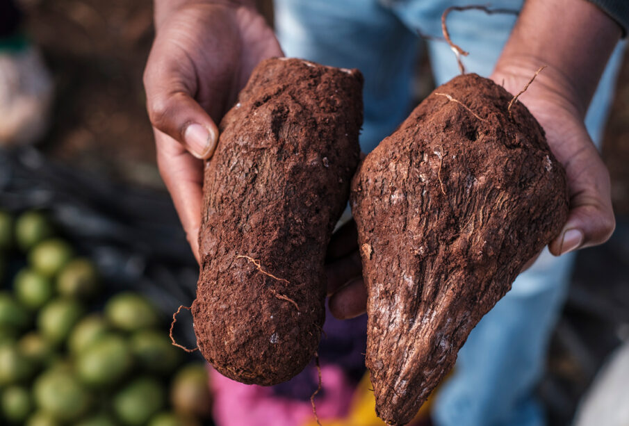 Traditional African Foods That Are Disappearing